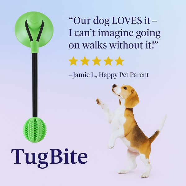 Pet Store ED dog toy to relieve boredom with strong suction.