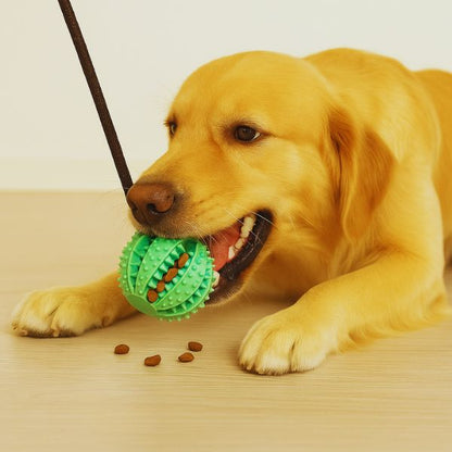 TugBite dog chew toy suction cup for strong chewers.