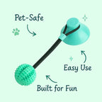 Aggressive Chewer? Get the Best Dog Chew Toy Suction Cup! - Pet Store ED