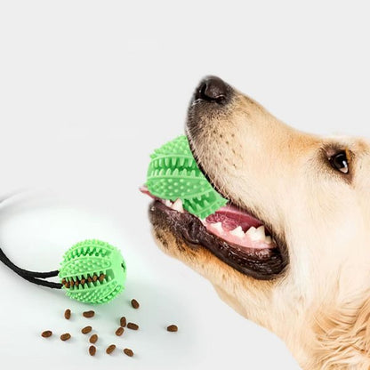 Fun and durable dog chew toy suction cup, available in vibrant colors.