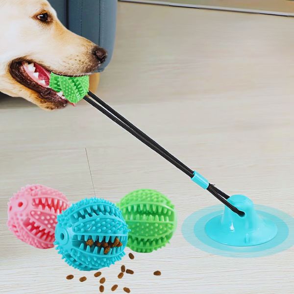 Perfectly sized suction cup toy for dogs, detailed by Pet Store ED.