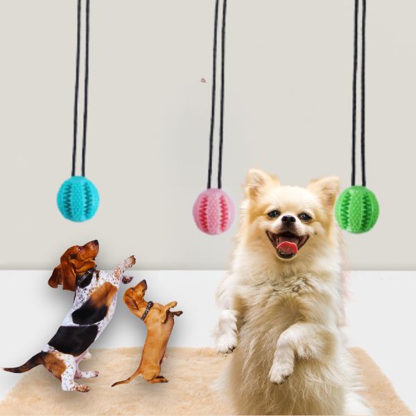 Happy dogs enjoying the TugBite dog chew toy suction cup indoors.