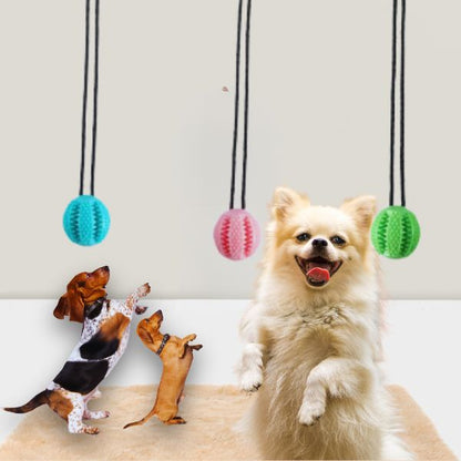 Happy dogs enjoying the TugBite dog chew toy suction cup indoors.
