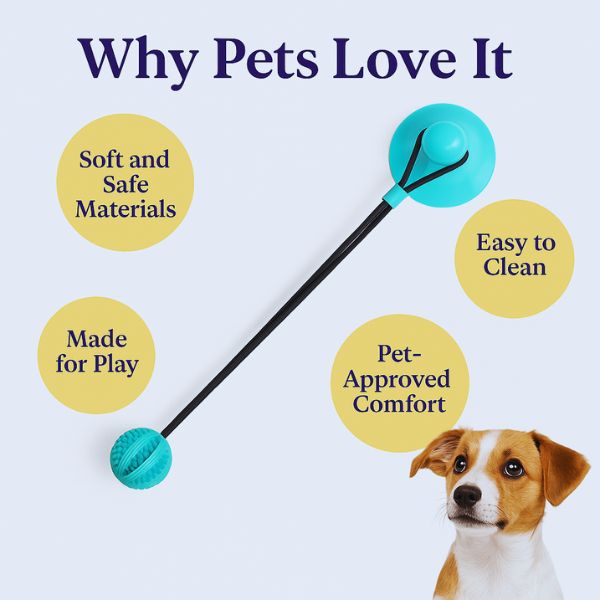 Pet Store ED TugBite improves pet walks and playtime.