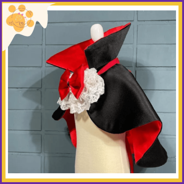 Black vampire cape with a high red collar, red lining and white lace ruffle on a mannequin, seen from an angle
