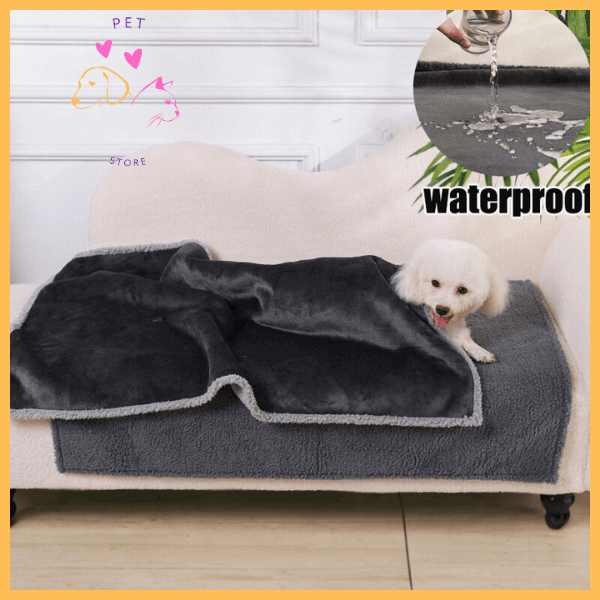 Small white dog on sofa with dark gray waterproof sherpa dog blanket, living room setting