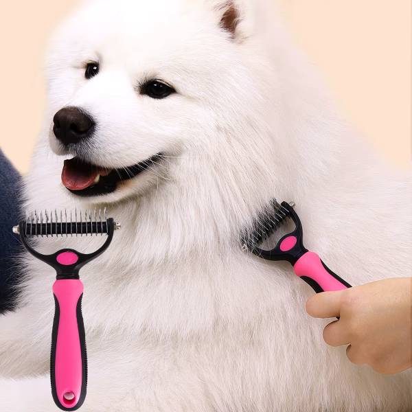 Gentle brushing moment using Pet Store ED's hair remover tool.