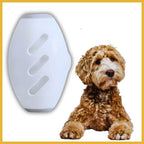 White lint roller next to fluffy brown dog on white background