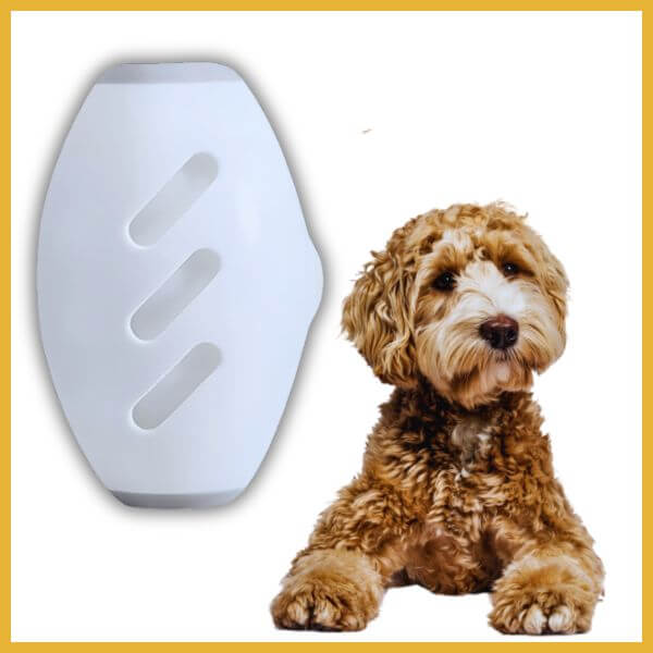 White lint roller next to fluffy brown dog on white background