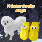 Small dog wearing yellow winter dog socks with cartoon eyes, city rain background, pet apparel
