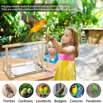 enrichment stand for small birds in outdoor setting