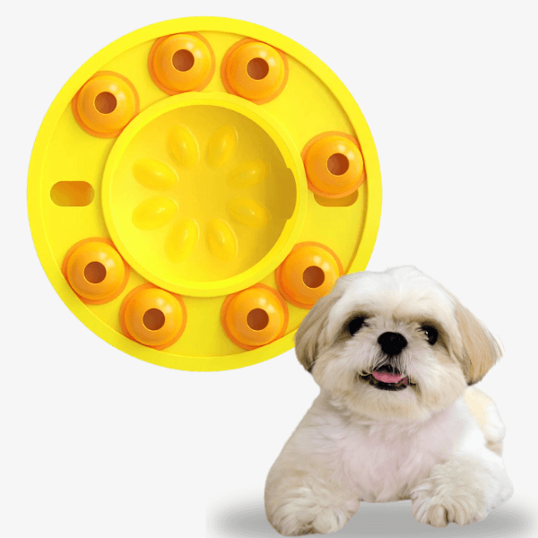 Turn Chaos into Calm – BrainWave Puzzle Feeder Bowl - Pet Store ED