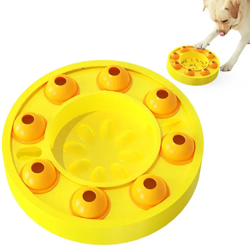 Training feeder for digestion and mental stimulation
