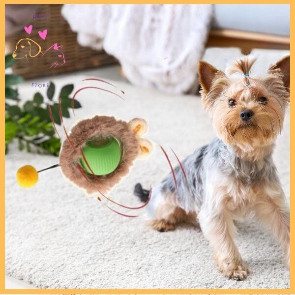 Yorkshire Terrier with interactive plush dog toy on carpet in cozy living room