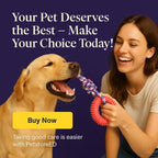 Tired of Broken Toys? Buy Durable Dog Toys for Chewers Today - Pet Store ED