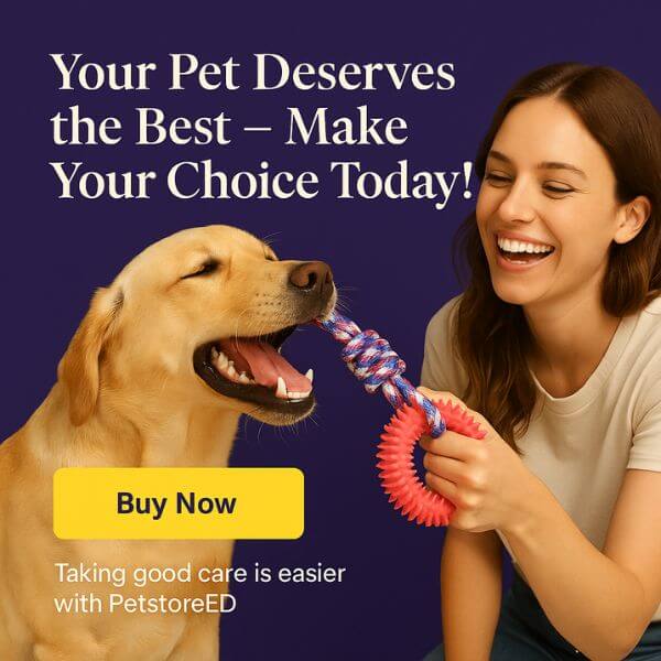 Close interaction with buy durable dog toys to prevent dog boredom.

