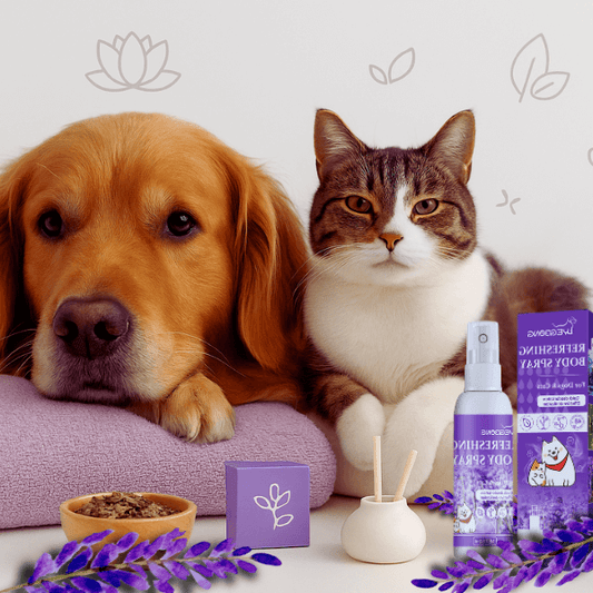 Relaxed golden retriever and cat surrounded by lavender and calming decor near Pet Store ED spray