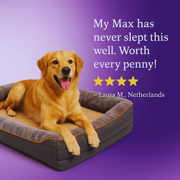 Golden retriever smiling on Pet Store ED Zlee dog bed – customer review.