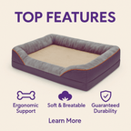 Dog in Pain? Try This Orthopedic Waterproof Bed (XXL Size) - Pet Store ED