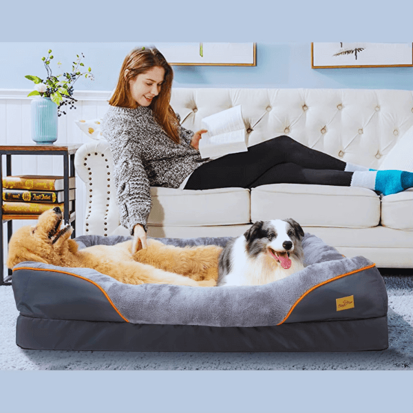 Comfortable large waterproof dog bed in cozy home setting with pets.